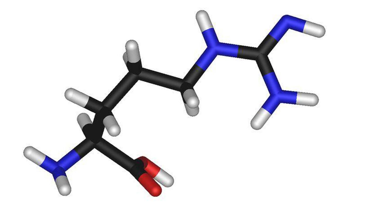 L-arginine component torto+